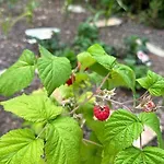 別荘 Au Temps Passe