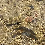 Au Temps Passe 別荘 *