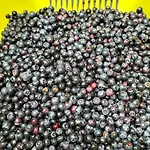 別荘 Au Temps Passe ジェラールメ