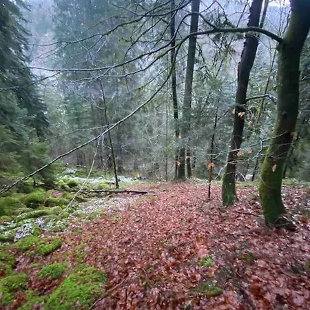 Au Temps Passe
