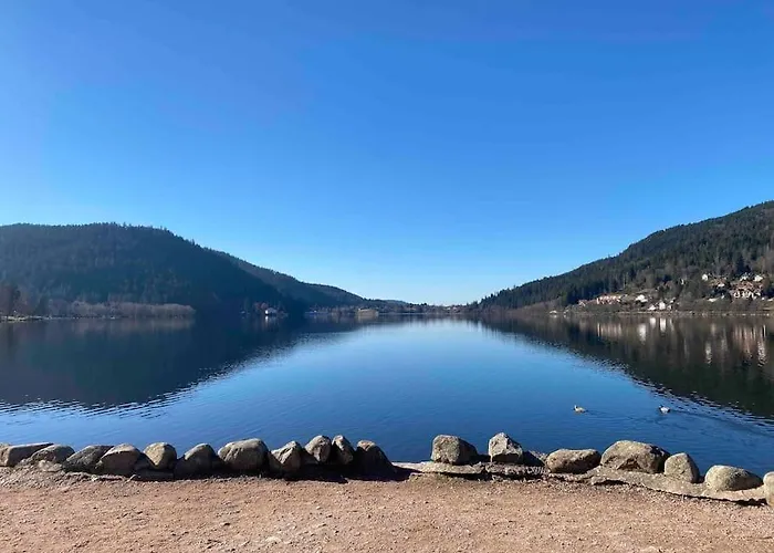 Maison Chaleureuse Avec Cheminée Bord De Rivière Gérardmer