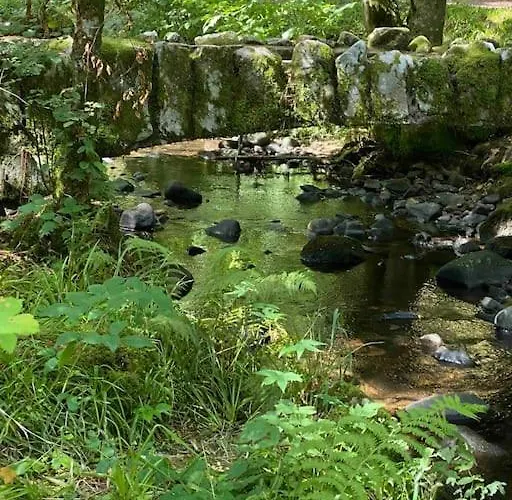 Hébergement de vacances Maison Chaleureuse Avec Cheminée Bord De Rivière Gérardmer
