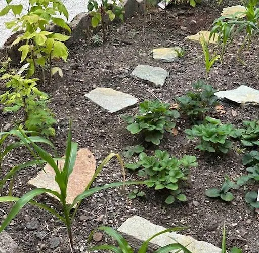 Au Temps Passe * Gérardmer