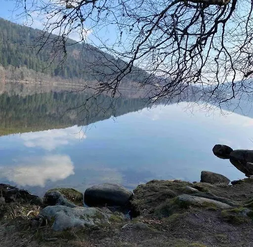 Maison Chaleureuse Avec Cheminée Bord De Rivière Hébergement de vacances Gérardmer