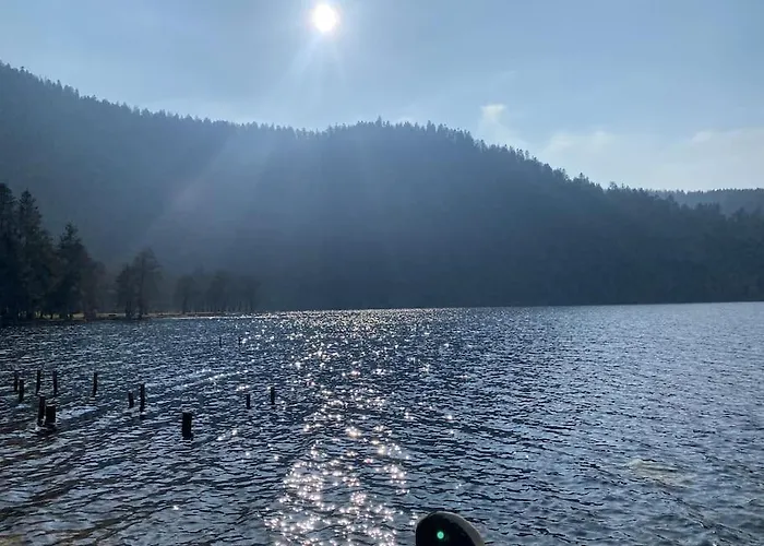 Maison Chaleureuse Avec Cheminée Bord De Rivière Hébergement de vacances *