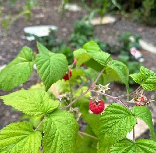 Hébergement de vacances Maison Chaleureuse Avec Cheminée Bord De Rivière