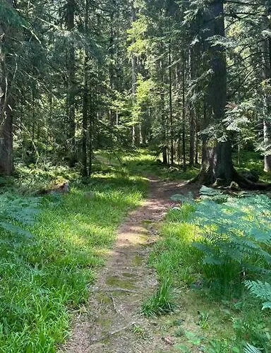 Casa de Férias Au Temps Passe *