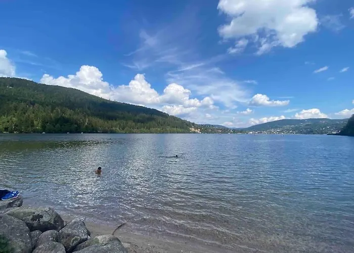 Hébergement de vacances Maison Chaleureuse Avec Cheminée Bord De Rivière Gérardmer