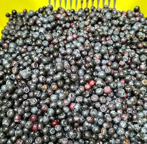 Hébergement de vacances Maison Chaleureuse Avec Cheminée Bord De Rivière Gérardmer