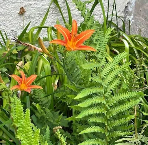 Maison Chaleureuse Avec Cheminée Bord De Rivière *